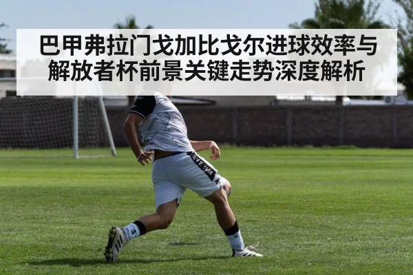 巴甲弗拉门戈加比戈尔进球效率与解放者杯前景关键走势深度解析 - kaiyun
