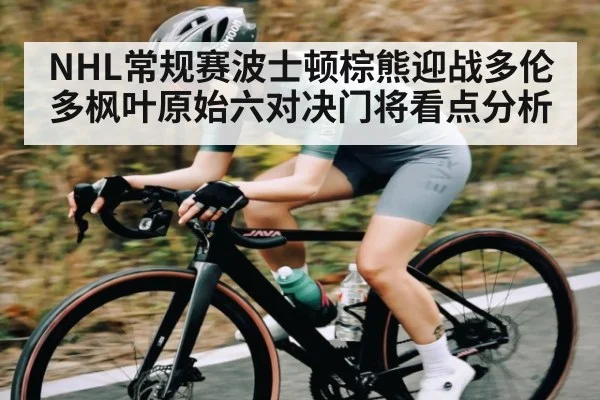 NHL常规赛波士顿棕熊迎战多伦多枫叶原始六对决门将看点分析 - kaiyun